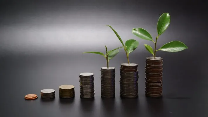 Виды инвестиций