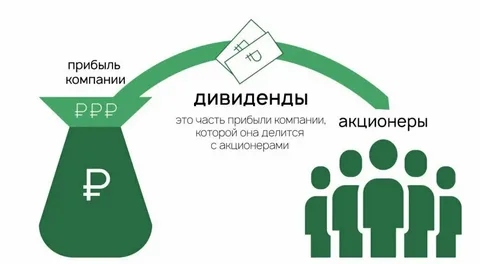 Что такое дивиденды