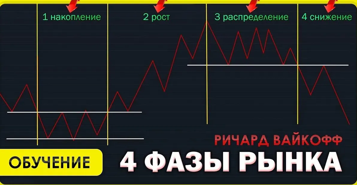 Фазы рынка