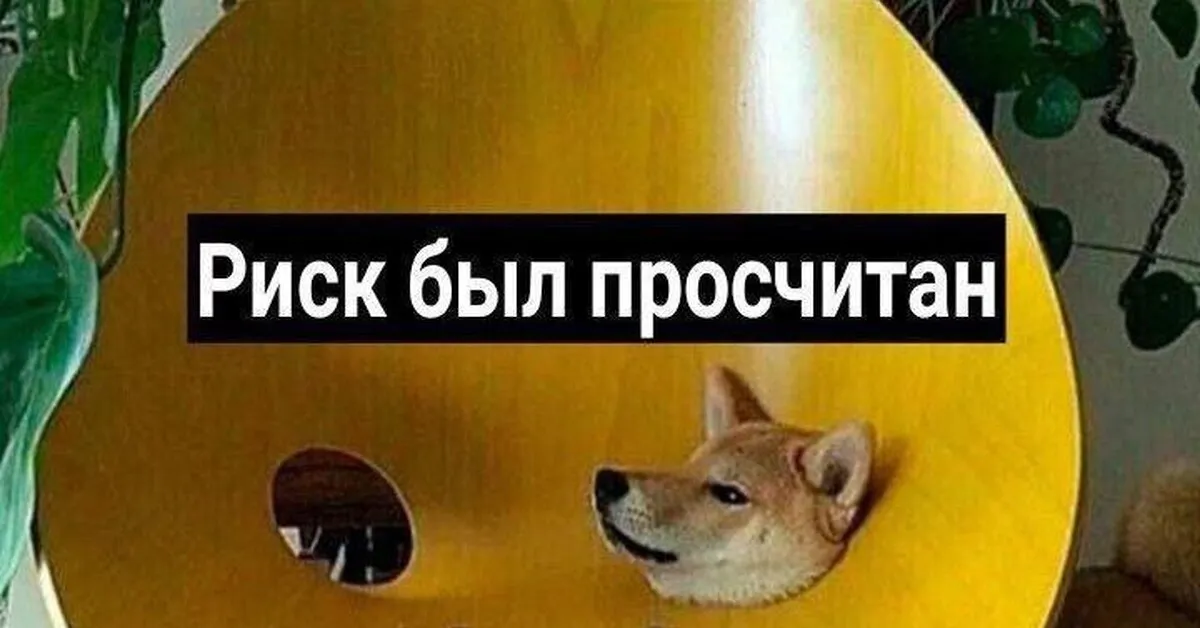 система управления рисками