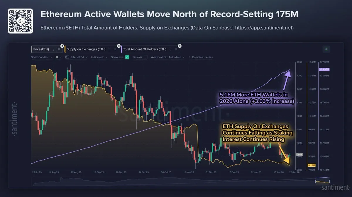 Количество непустых кошельков в сети Ethereum выросло до более чем 175,5 млн