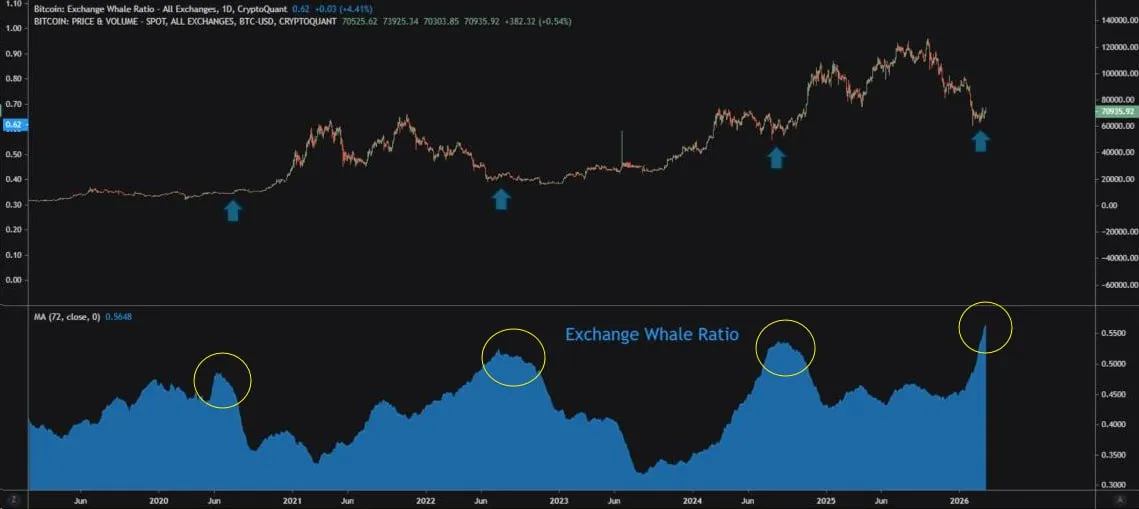 Соотношение кол-ва "китов к мелким трейдерам" в BTC выросло до максимума за 6 лет