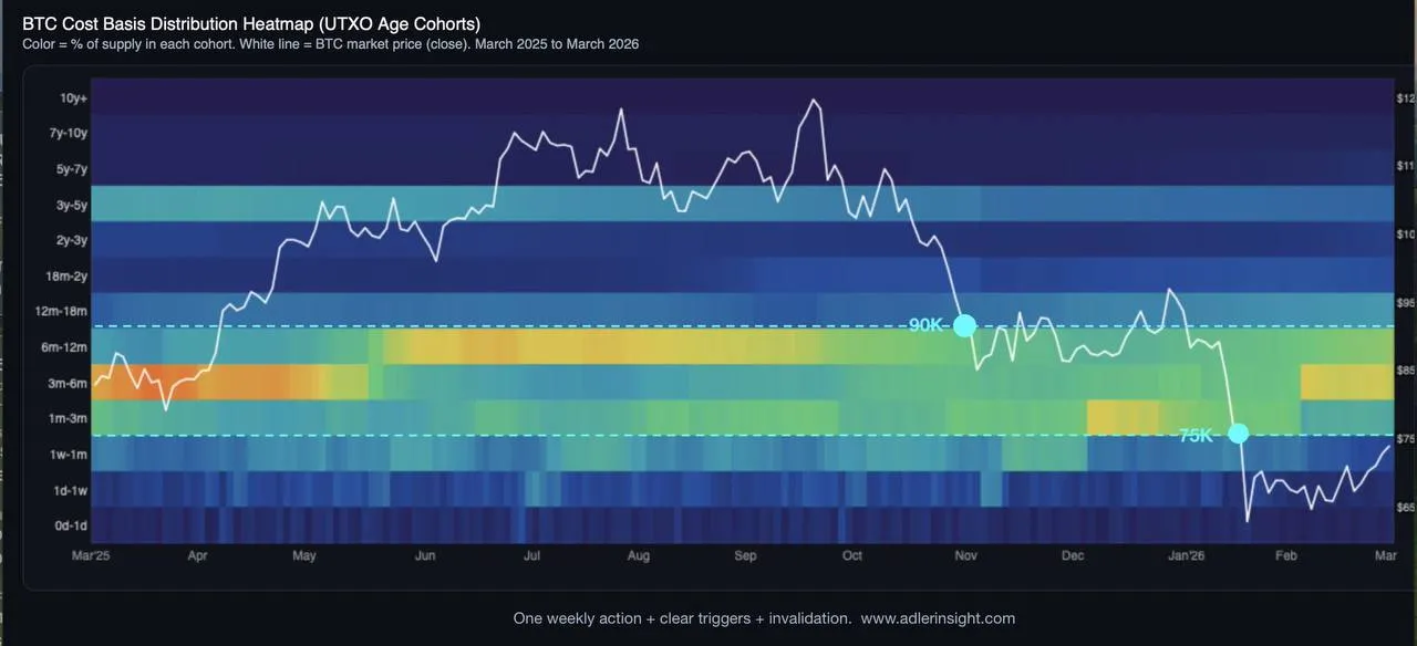 BTC в настоящее время сосредоточен в диапазоне от 75000$ до 85000$