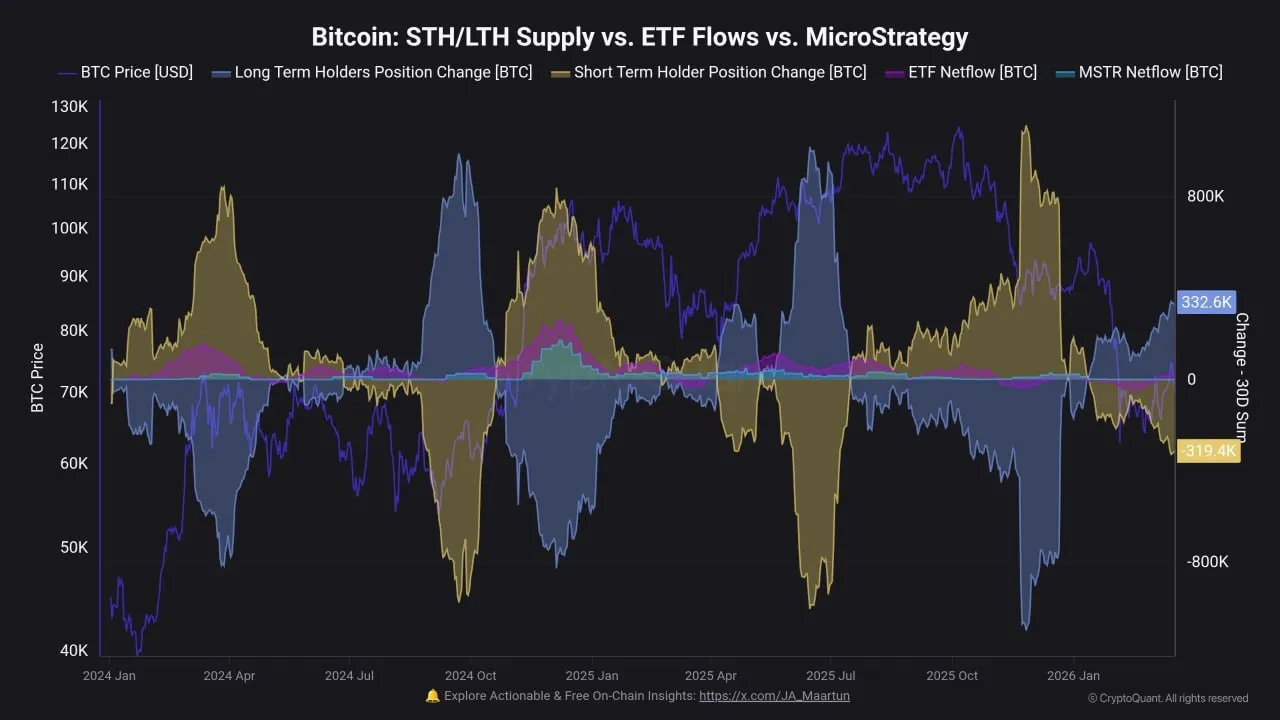 Долгосрочные держатели? Они накапливали средства — +332 тыс. BTC за 30 дней