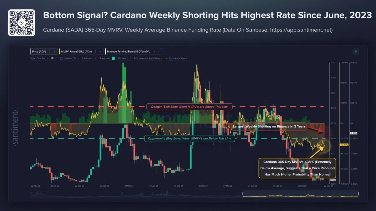 Средний доходность кошельков, активных в сети Cardano за последний год, составляет -43%