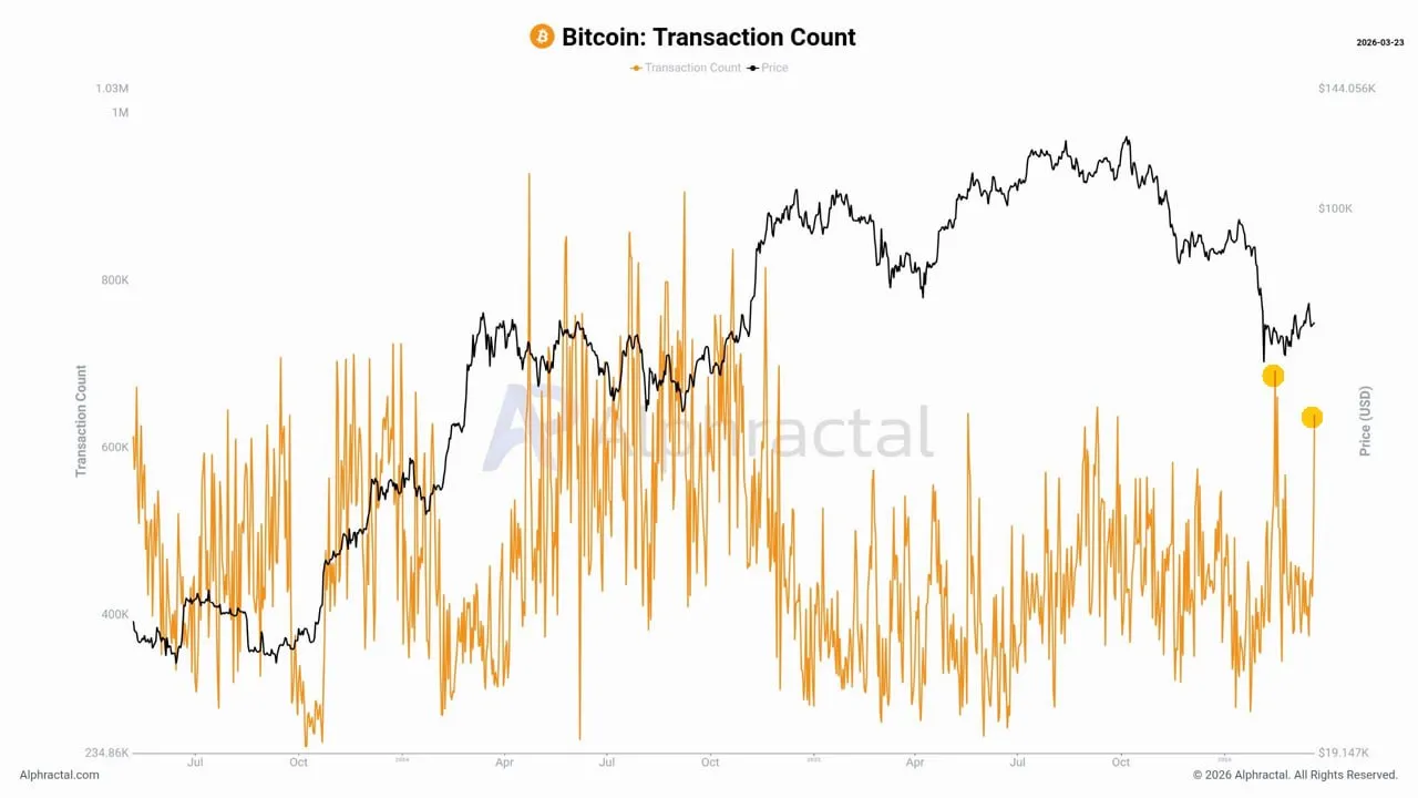 В сети BTC наблюдается сильный всплеск транзакций, пока цена находится в боковике