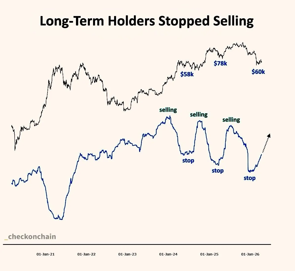 Долгосрочные держатели перестали продавать BTC и перешли к покупкам