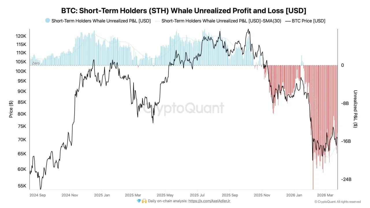 Нереализованные убытки по-прежнему преобладают среди китов