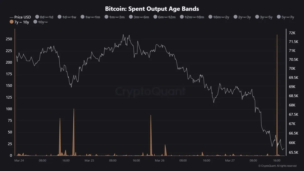 Спящие» биткоины пробуждаются, киты переводят на биржу