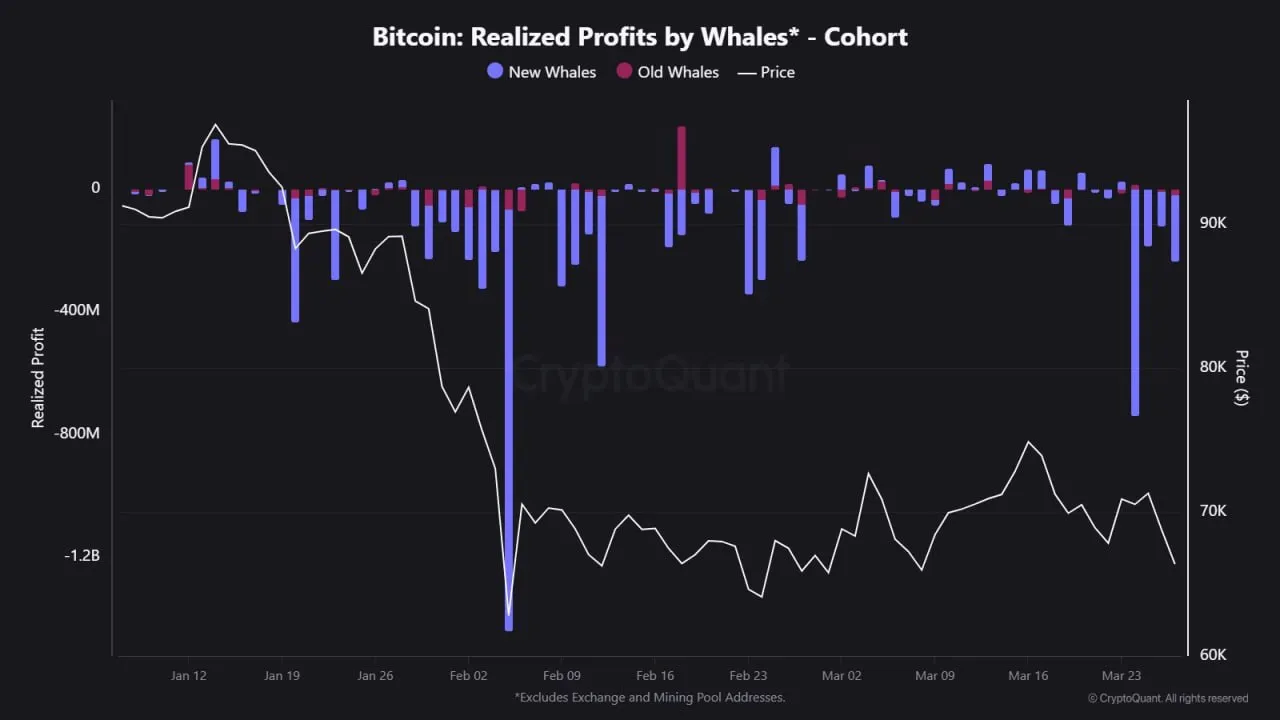 Взгляните на недавнюю активность крупных игроков