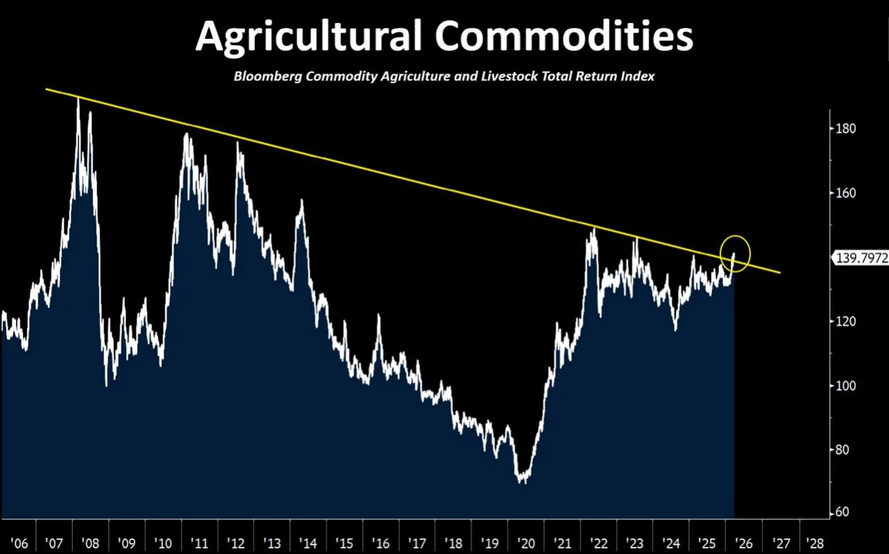 Мировые цены на сельхозпродукцию пошли вверх вслед за ценами на нефть и удобрения